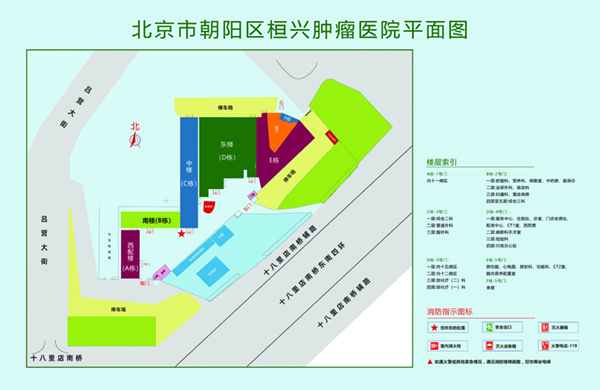 操穴小电影北京市朝阳区桓兴肿瘤医院平面图